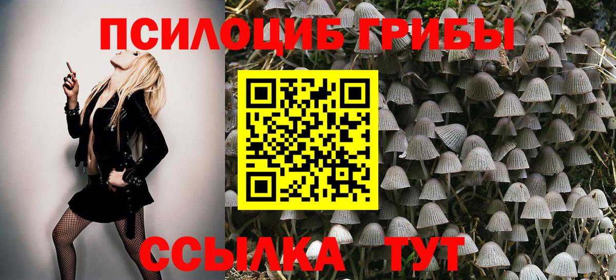 Усинск  Галлюциногенные грибы MAGIC MUSHROOMS  Вход с VPN 